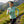 Bjork Zip 210 Women