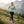 Active Top Merino 140