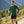 Finn 210 Men (2022) - Green Wengen - Fjork Merino