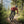 Finn 210 Men (2022) - Red Verbier - Fjork Merino