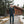 Finn 210 Herren