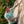 Finn MC 140 Men, coloris Green Engelberg, laine mérinos, Fjork Merino