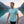 Finn MC 140 Men, coloris Green Engelberg, laine mérinos, Fjork Merino