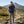 Finn MC 140 Men - Blue St Moritz - Fjork Merino