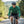 Finn Roll 210 Men (2022) - Green Wengen - Fjork Merino