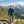Finn Zip 210 Men - Blue St Moritz - Fjork Merino