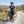 Bjork MC 140 Women