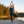 Bjork MC 140 Women