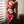 Panties Liskamm - Pack de 2 - FJORK Merino - Pink Montana - Sous-vêtements