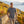 Polo Rigi Men  Pré-commande