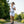 Short Running Women - Polar White - Fjork Merino