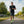 Sport-T-Shirt Performance Herren