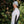 Tech Jungfrau Zip 210 Women - Polar White - Fjork Merino