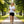 T-shirt sport Performance Women