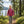 Veste Ultra 300 Kids, coloris Pink Montana, laine mérinos, Fjork Merino